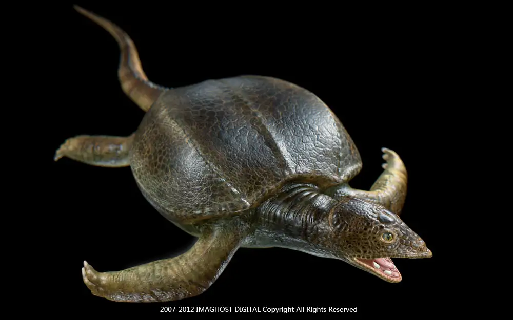 古生物复原-楯齿龙 Prehistoric Life-form Restoration - C4D之家 - 古生物复原-楯齿龙.jpg