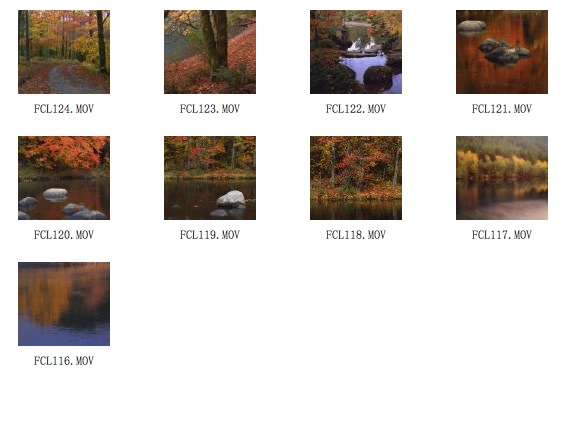 9个秋天景色高清视频素材（MOV） - C4D之家 - cinema4d_ 2014-01-21 下午11.22.07.jpg