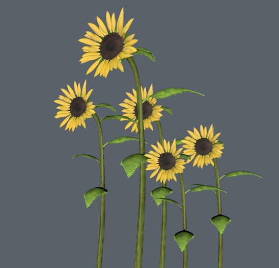 向日葵C4D模型 Sunflower 3D MODEL - C4D之家 - cinema4d_ 2014-01-26 下午2.42.04.jpg