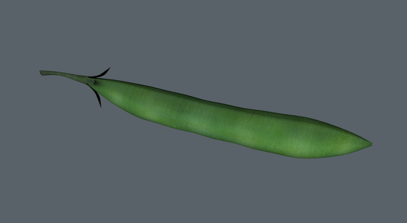 豆角3D模型 beans - C4D之家 - cinema4d_ 2014-02-21 下午10.30.28.jpg