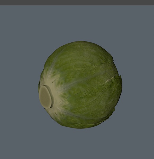 卷心菜 茴子白3D模型 cabbage