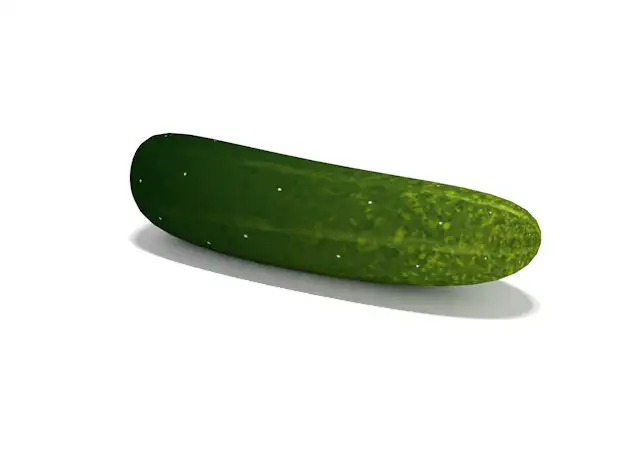 黄瓜C4D模型 cucumber - C4D之家 - cinema4d_ 2014-02-22 下午8.32.04.jpg