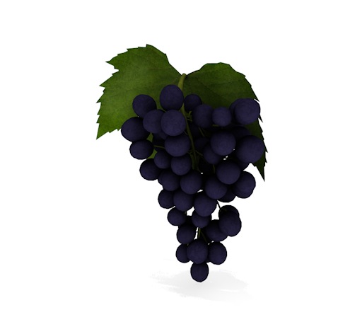 紫葡萄C4D模型 grapes - C4D之家 - cinema4d_ 2014-02-22 下午9.20.42.jpg