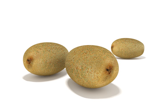 猕猴桃C4D模型 Yangtao Kiwifruit