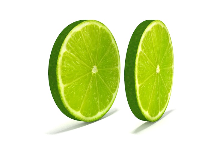 切片的青柠檬3D模型 lime thin slice