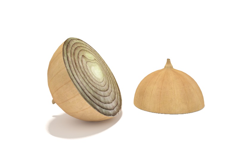 洋葱C4D模型 onion half 001 - C4D之家 - cinema4d_ 2014-02-23 下午5.22.03.jpg