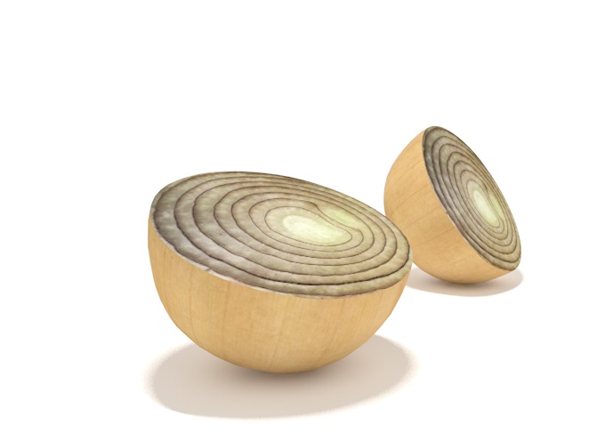 半块洋葱头3D模型 onion half - C4D之家 - cinema4d_ 2014-02-23 下午5.46.01.jpg