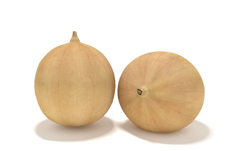 洋葱3D模型 onion sliced - C4D之家 - cinema4d_ 2014-02-23 下午6.07.01.jpg