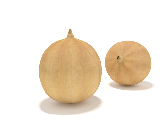 洋葱头C4D模型 onion