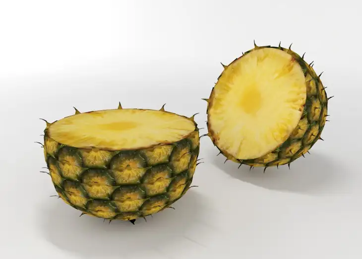 菠萝C4D模型 pineapple slice