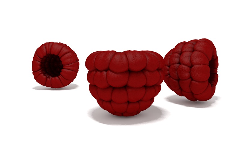 木莓C4D模型 raspberry - C4D之家 - cinema4d_ 2014-02-24 上午12.21.13.jpg