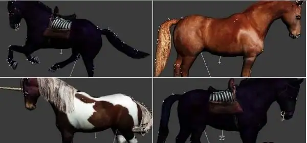 26个马和独角兽3D模型（已绑定、带动画）