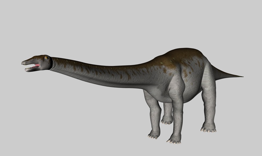 恐龙C4D模型：迷惑龙 Apatosaurus - C4D之家 - cinema4d_ 2014-02-28 下午10.39.53.jpg