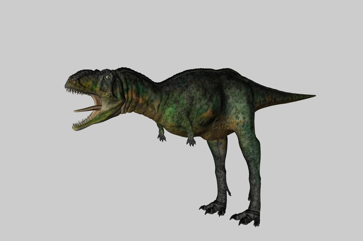 恐龙C4D模型：奥卡龙 Aucasaurus - C4D之家 - cinema4d_ 2014-02-28 下午10.47.22.jpg