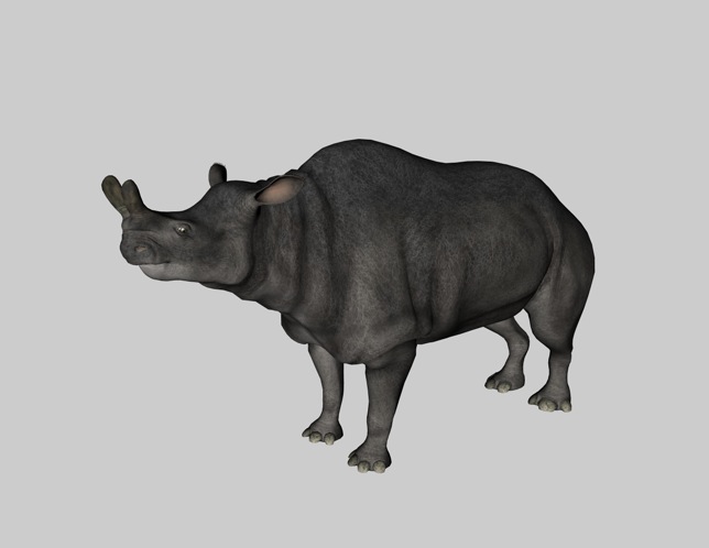 恐龙C4D模型：巨角犀（雷兽） Brontotherium - C4D之家 - cinema4d_ 2014-03-01 上午12.28.13.jpg