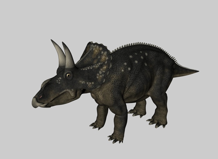 恐龙C4D模型：双角龙 Nedoceratops - C4D之家 - cinema4d_ 2014-03-01 下午6.18.07.jpg