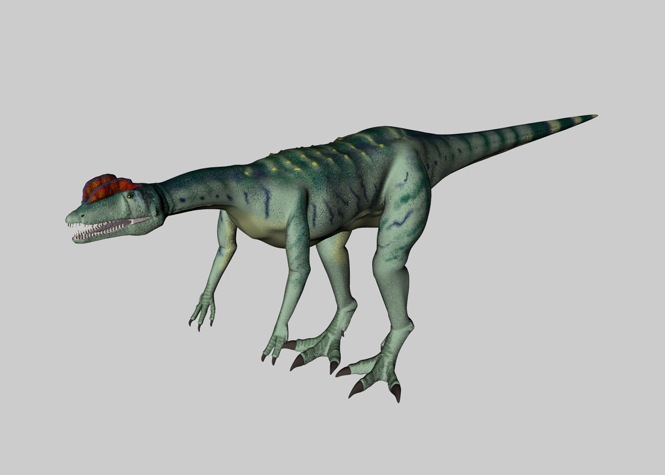 恐龙C4D模型：双脊龙（双棘龙） Dilophosaurus - C4D之家 - cinema4d_ 2014-03-01 下午6.28.08.jpg
