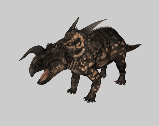 恐龙C4D模型：野牛龙 Einiosaurus - C4D之家 - cinema4d_ 2014-03-01 下午6.30.09.jpg