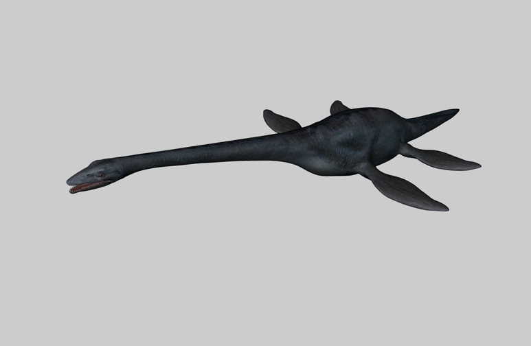 恐龙C4D模型：薄板龙 Elasmosaurus - C4D之家 - cinema4d_ 2014-03-01 下午6.32.54.jpg