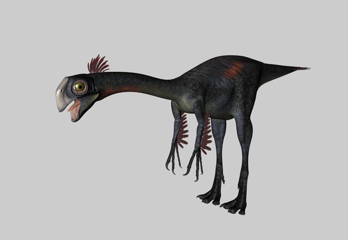 恐龙C4D模型：巨盗龙 Gigantoraptor - C4D之家 - cinema4d_ 2014-03-01 下午6.46.24.jpg