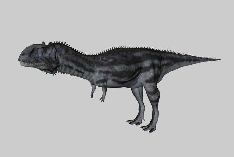 白垩纪恐龙C4D模型：玛君龙 Majungasaurus - C4D之家 - cinema4d_ 2014-03-01 下午6.54.50.jpg