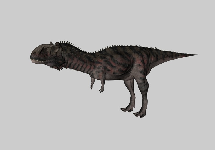 白垩纪恐龙C4D模型：玛君龙 Majungasaurus - C4D之家 - cinema4d_ 2014-03-01 下午6.55.03.jpg