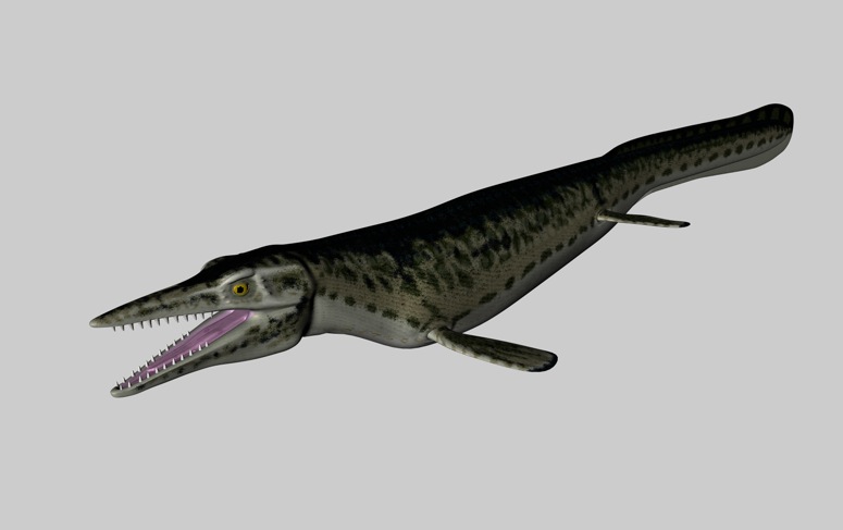 恐龙C4D模型：沧龙 Mosasaur - C4D之家 - cinema4d_ 2014-03-01 下午6.59.56.jpg