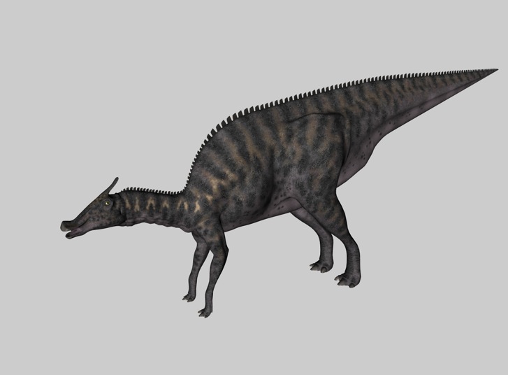 恐龙C4D模型：栉龙 Saurolophus - C4D之家 - cinema4d_ 2014-03-01 下午7.06.53.jpg