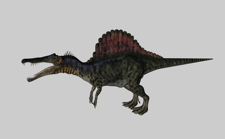 白垩纪恐龙C4D模型： 棘龙 Spinosaurus - C4D之家 - cinema4d_ 2014-03-01 下午7.11.24.jpg