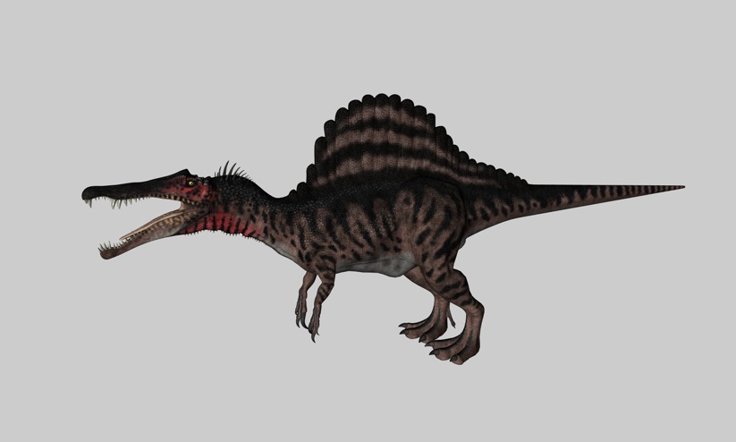 白垩纪恐龙C4D模型： 棘龙 Spinosaurus - C4D之家 - cinema4d_ 2014-03-01 下午7.11.35.jpg
