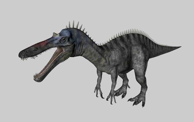 恐龙C4D模型：似鳄龙 Suchomimus - C4D之家 - cinema4d_ 2014-03-01 下午7.49.23.jpg
