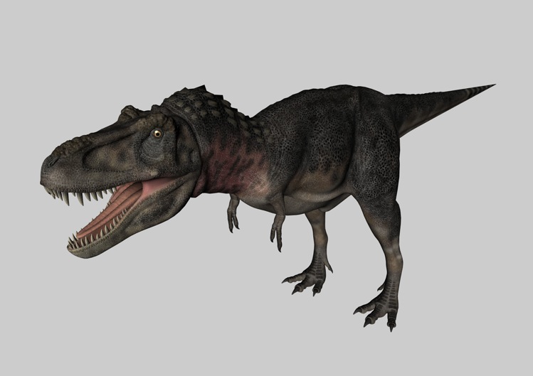 恐龙C4D模型：特暴龙 Tarbosaurus - C4D之家 - cinema4d_ 2014-03-01 下午7.55.46.jpg