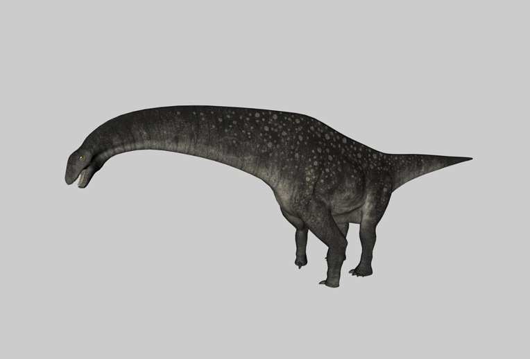 恐龙C4D模型：泰坦巨龙 Titanosaurus - C4D之家 - cinema4d_ 2014-03-01 下午7.58.19.jpg