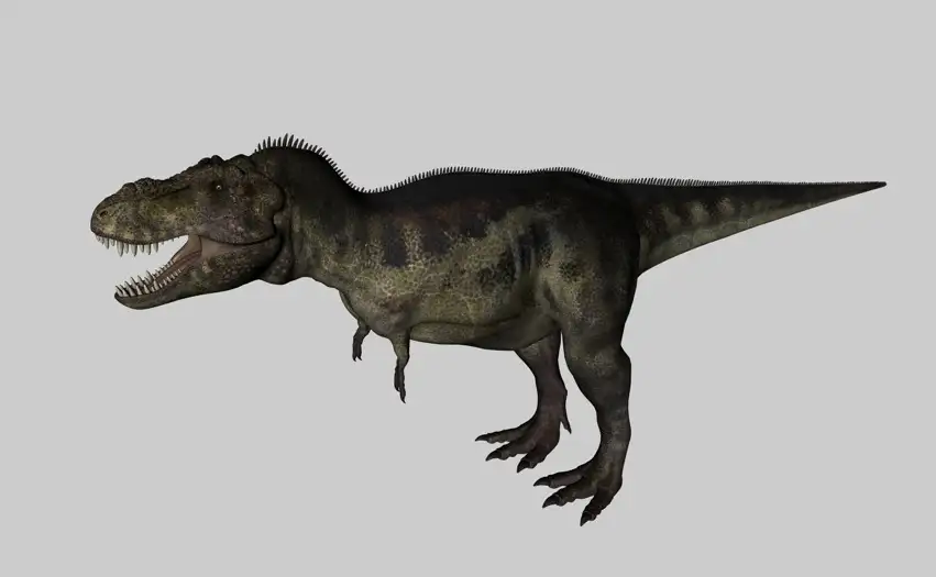 恐龙3D模型：暴龙（霸王龙） Tyrannosaurus - C4D之家 - cinema4d_ 2014-03-01 下午8.09.00.jpg
