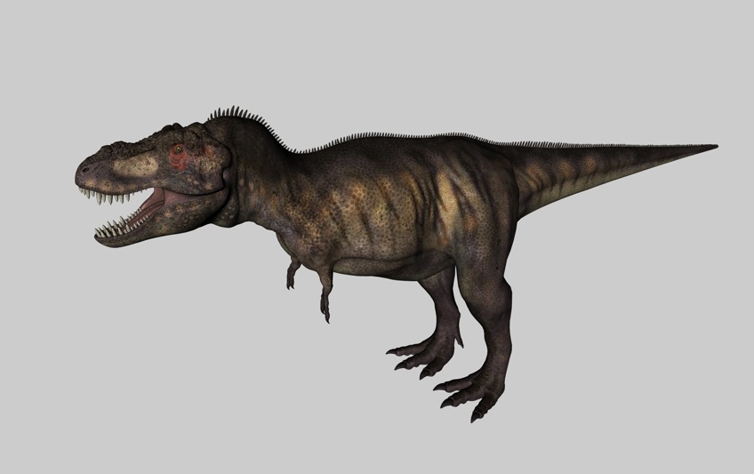恐龙3D模型：暴龙（霸王龙） Tyrannosaurus - C4D之家 - cinema4d_ 2014-03-01 下午8.09.10.jpg