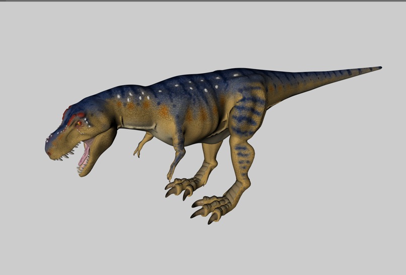 恐龙3D模型：暴龙变种 Tyrannosaurus variant - C4D之家 - cinema4d_ 2014-03-01 下午8.16.12.jpg