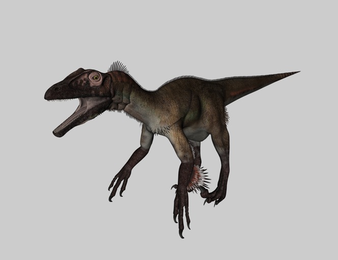 恐龙3D模型：犹他盗龙 Utahraptor - C4D之家 - cinema4d_ 2014-03-01 下午8.19.30.jpg