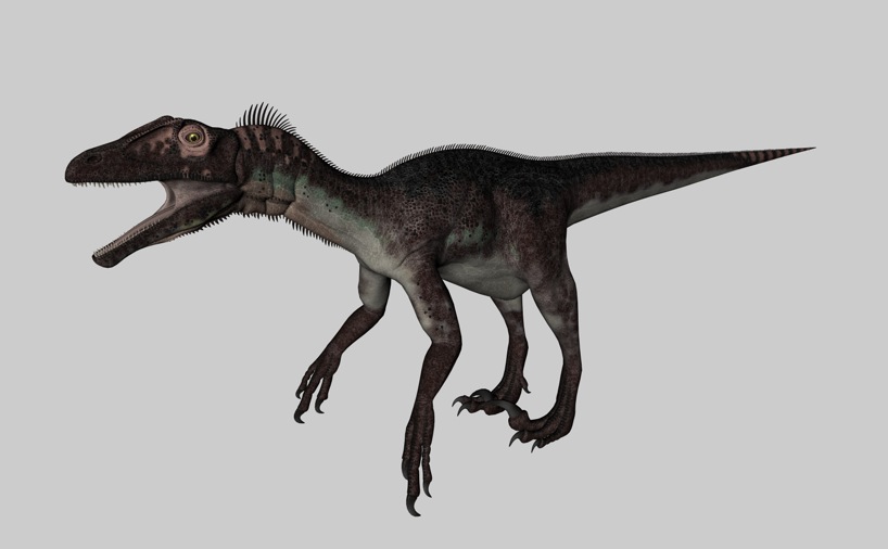 恐龙3D模型：犹他盗龙 Utahraptor - C4D之家 - cinema4d_ 2014-03-01 下午8.19.42.jpg