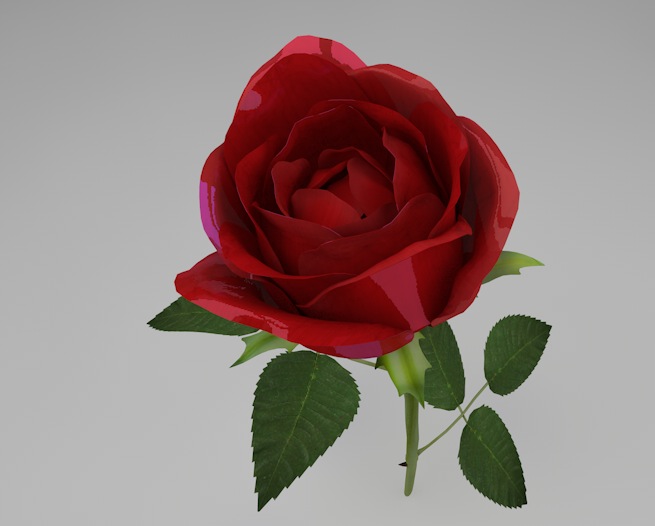 一枝玫瑰花C4D模型 Rose（R15） - C4D之家 - cinema4d_ 2014-03-02 上午12.05.21.jpg