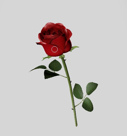 一枝玫瑰花C4D模型 Rose（R15） - C4D之家 - cinema4d_ 2014-03-02 上午12.05.43.jpg