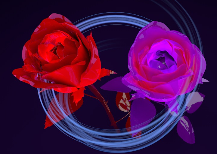 华丽的玫瑰花C4D模型 Rose - C4D之家 - cinema4d_ 2014-03-02 上午12.27.08.jpg
