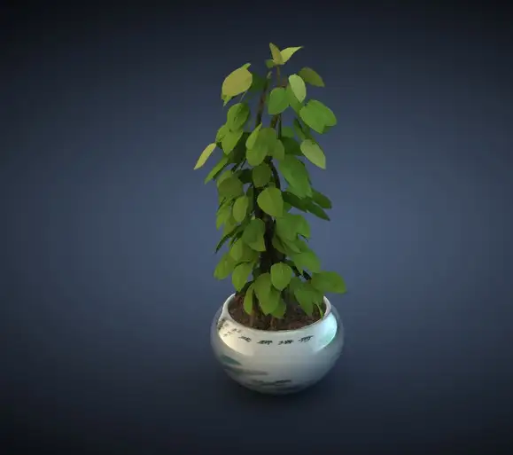 景观植物C4D模型 大叶植物 绿色盆景 Plant - C4D之家 - cinema4d_ 2014-03-05 下午9.31.34.jpg