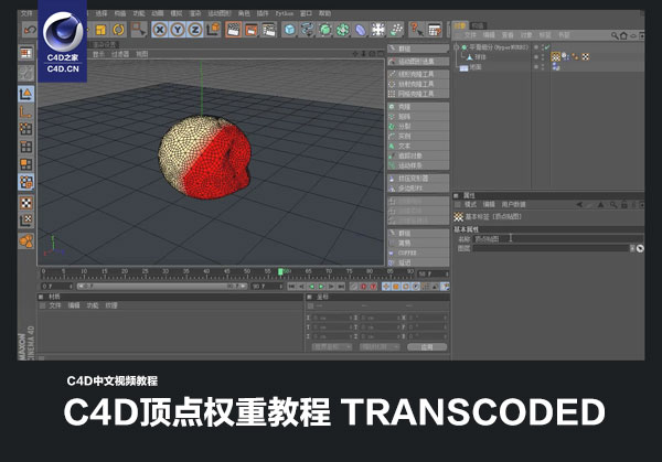 C4D中文视频教程：C4D顶点权重教程 transcoded