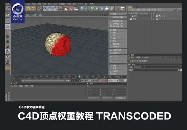 C4D中文视频教程：C4D顶点权重教程 transcoded