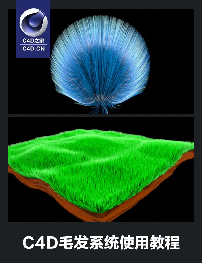 c4d基础中文教程：C4D毛发系统使用教程 - C4D之家 - 无标题2.jpg