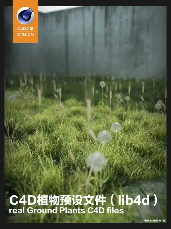 Cinema 4d真实地面植物工程文件real Ground Plants C4D files - C4D之家 - Real-ground-plants(1).jpg