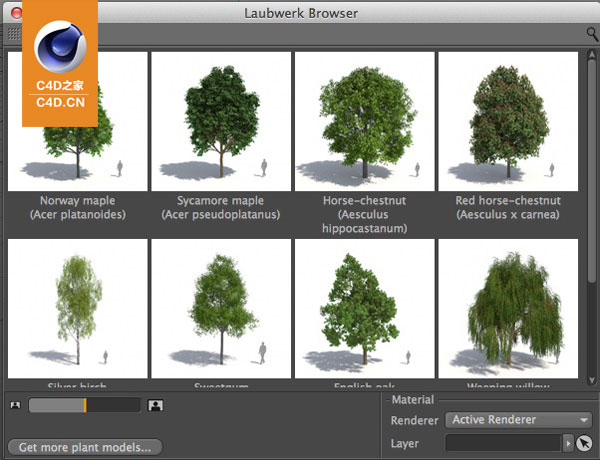 C4D与3dsmax真实植物场景模型包插件 Laubwerk Plants Kits 1 and 2 支持Win Mac - C4D之家 - cinema4d_-2014-03-16-下午9.13.30.jpg