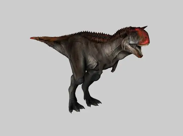 恐龙3D模型 Dinosaur-carno