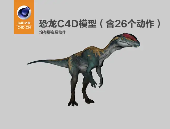 恐龙C4D模型（含25个动作，带绑定及动作）Dinosaur 3d model-dilo - C4D之家 - cinema4d_-2014-03-16-下午10.39.26.jpg