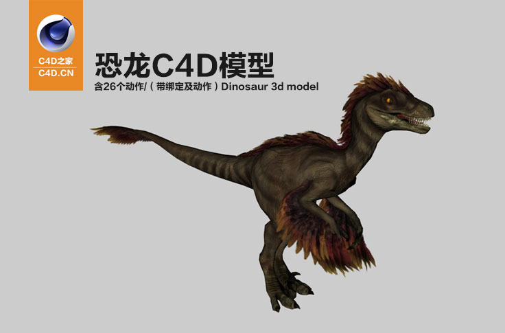 长羽毛的恐龙C4D模型 含26个动作（带绑定及动作）Dinosaur 3d model-raptorFeathered